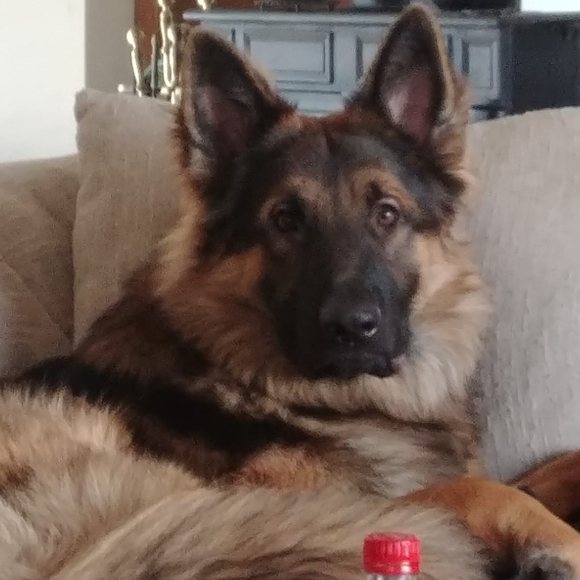 Meet your Posher, Jessica - Picture 1 of 1